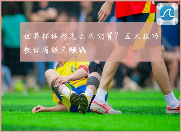 世界杯体彩怎么买划算?五大技巧教你省钱又赚钱