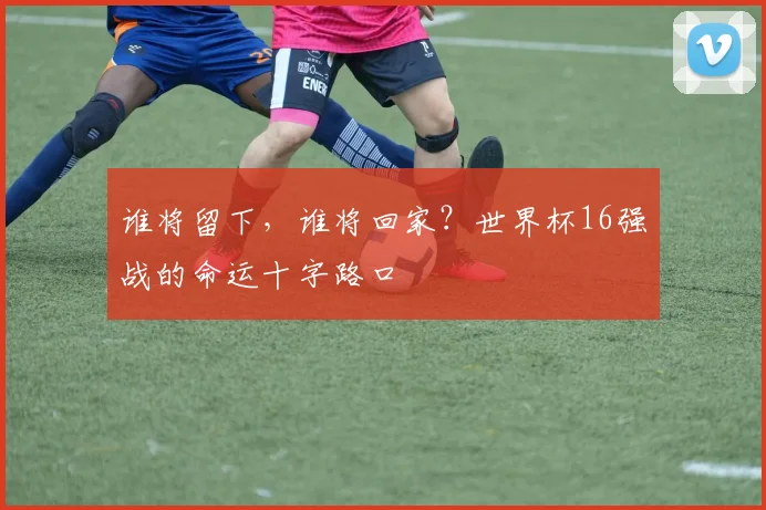 谁将留下，谁将回家？世界杯16强战的命运十字路口