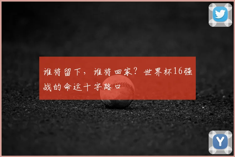 谁将留下，谁将回家？世界杯16强战的命运十字路口