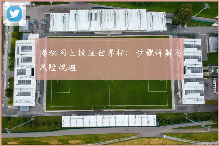 揭秘网上投注世界杯：步骤详解与风险规避