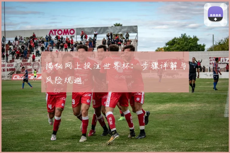 揭秘网上投注世界杯：步骤详解与风险规避
