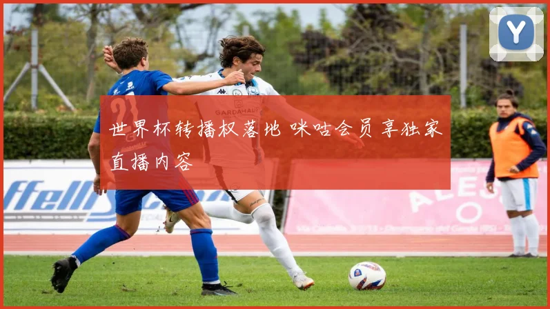 世界杯转播权落地 咪咕会员享独家直播内容